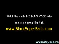 Скриншот 5 для видео Худенькая блондинка устроила с негром страстное порно